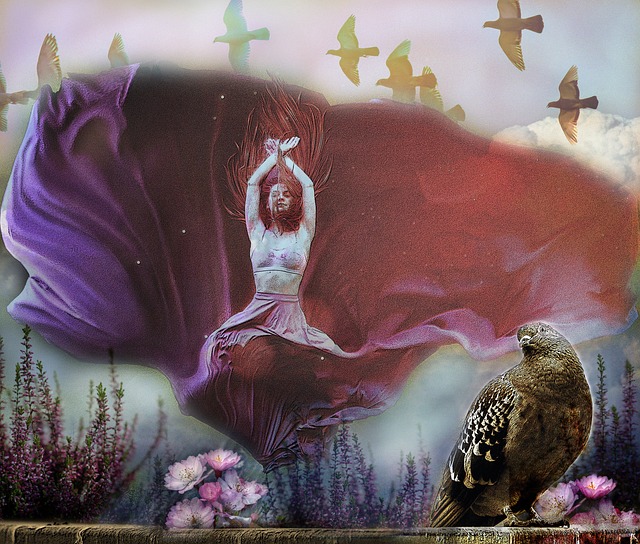 本篇将为您 本篇将为您