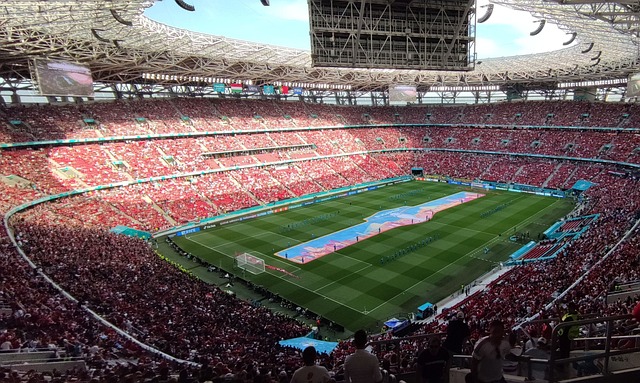 投票行为 投票行为