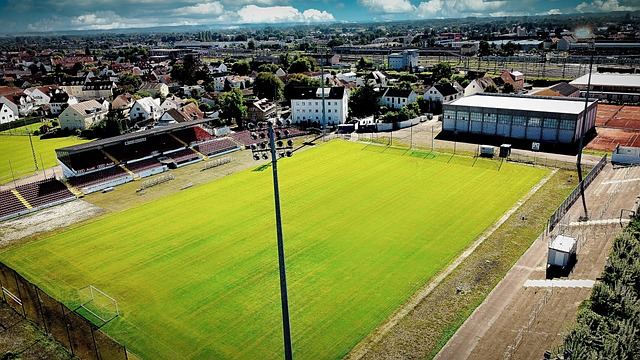 今年的省港 今年的省港