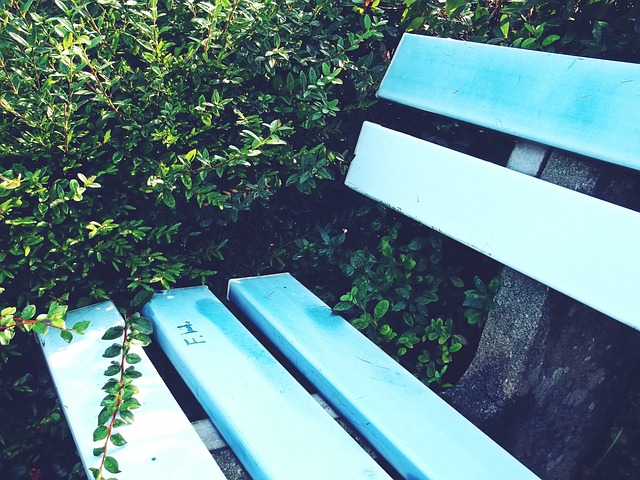 书写了一段 书写了一段