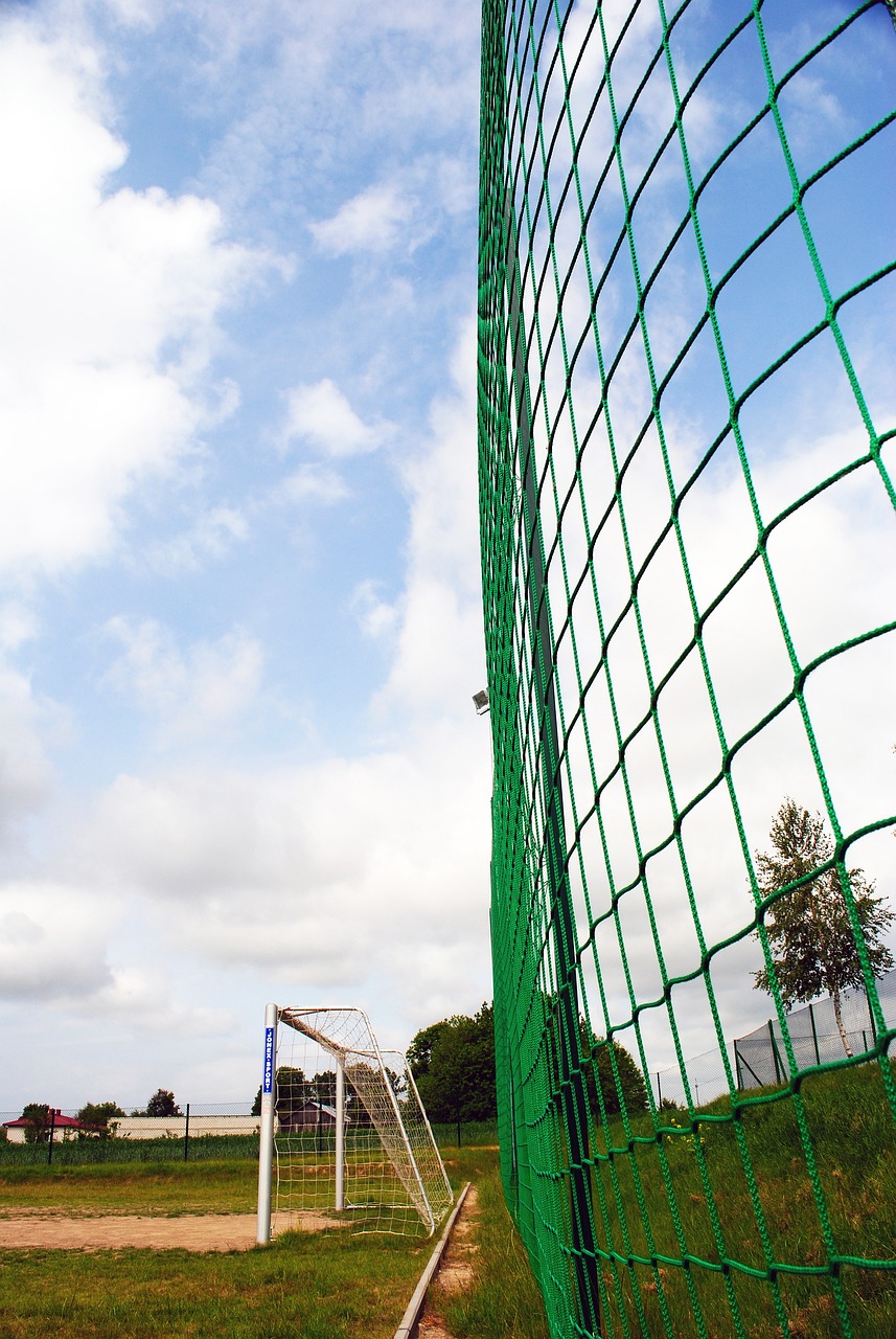 翔也备受瞩 翔也备受瞩