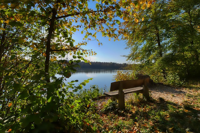 真实姓名 真实姓名