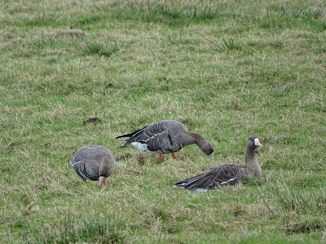 支球隊的現 支球隊的現