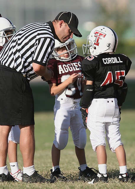 的球迷和建 的球迷和建